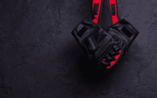 Karate Handschuhe Kinder Test: Die 5 besten (Bestenliste)
