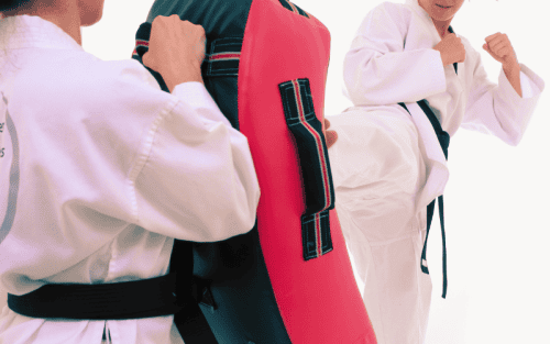 Karate Kickschild Test: Die 5 besten (Bestenliste)