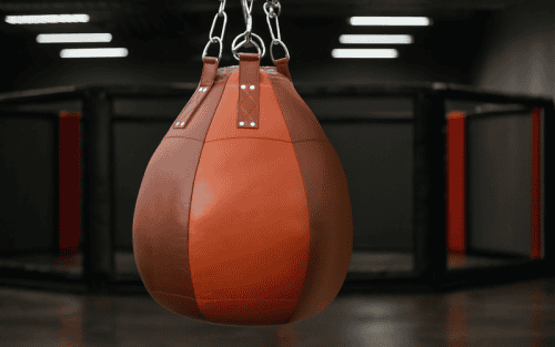 Boxbirne Leder Test: Die 5 besten (Bestenliste)